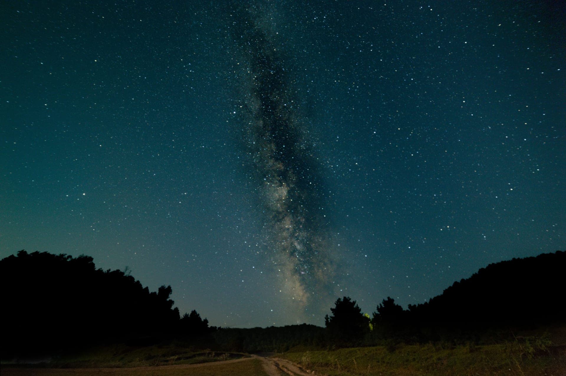 The Milky Way over a dark treeline