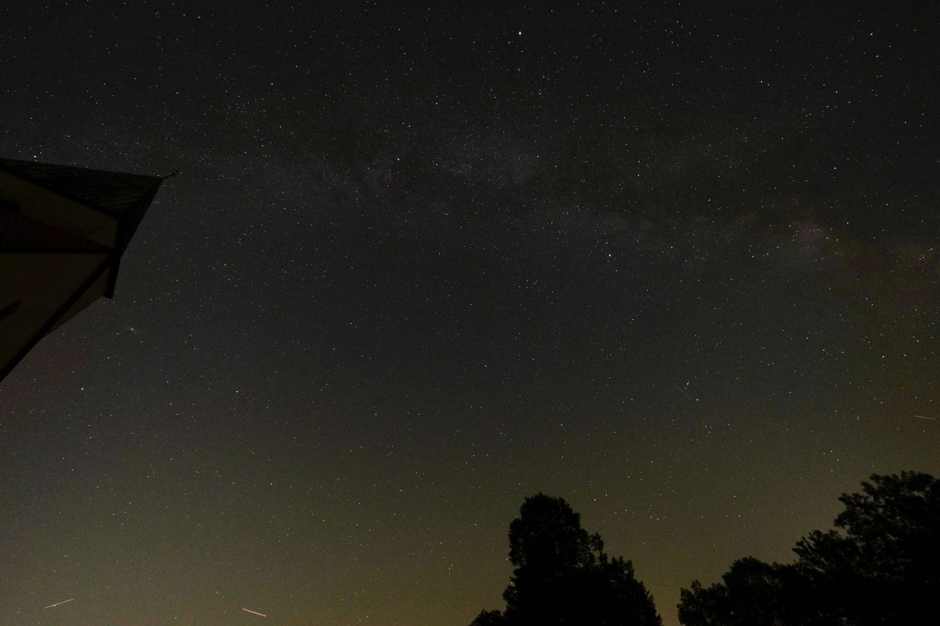 The Milky Way over silhouetted trees in a dark night sky
