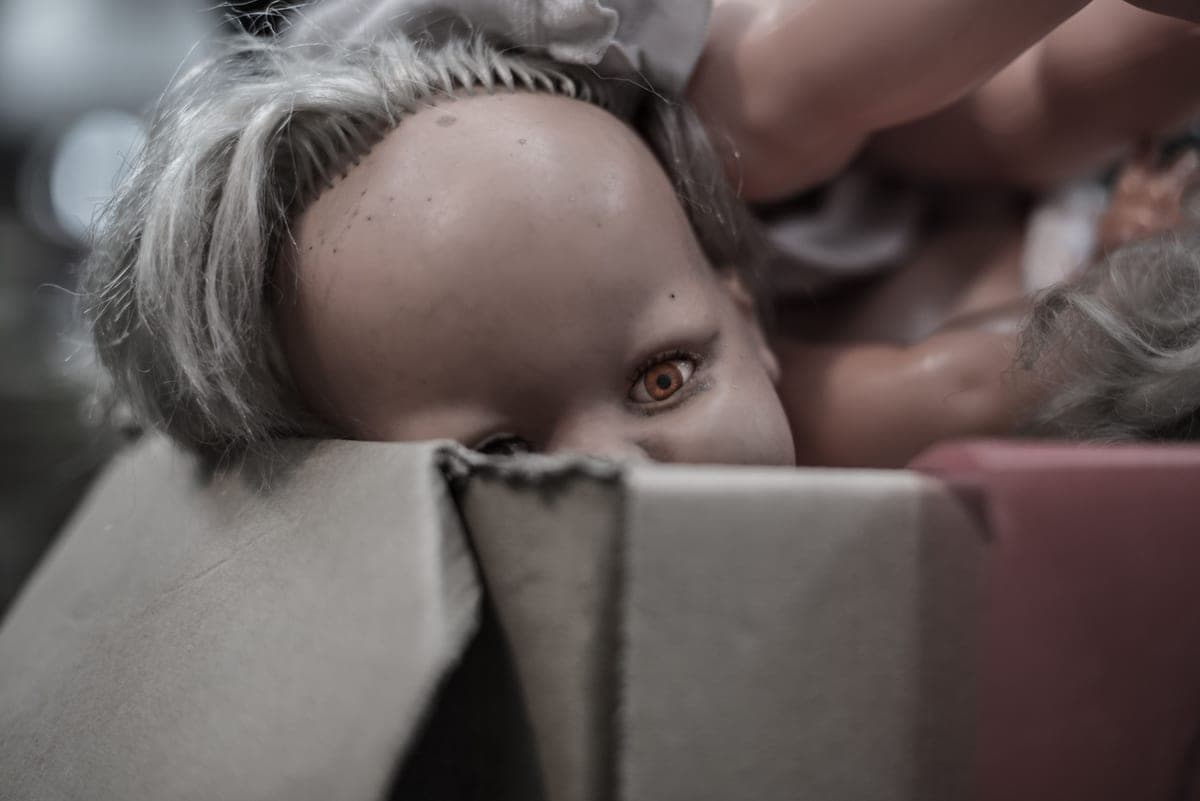 A discarded toy lying in a cardboard box
